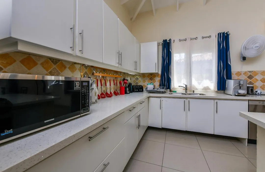 Boutique Hotel Swiss Paradise Aruba Villas And Suites-1