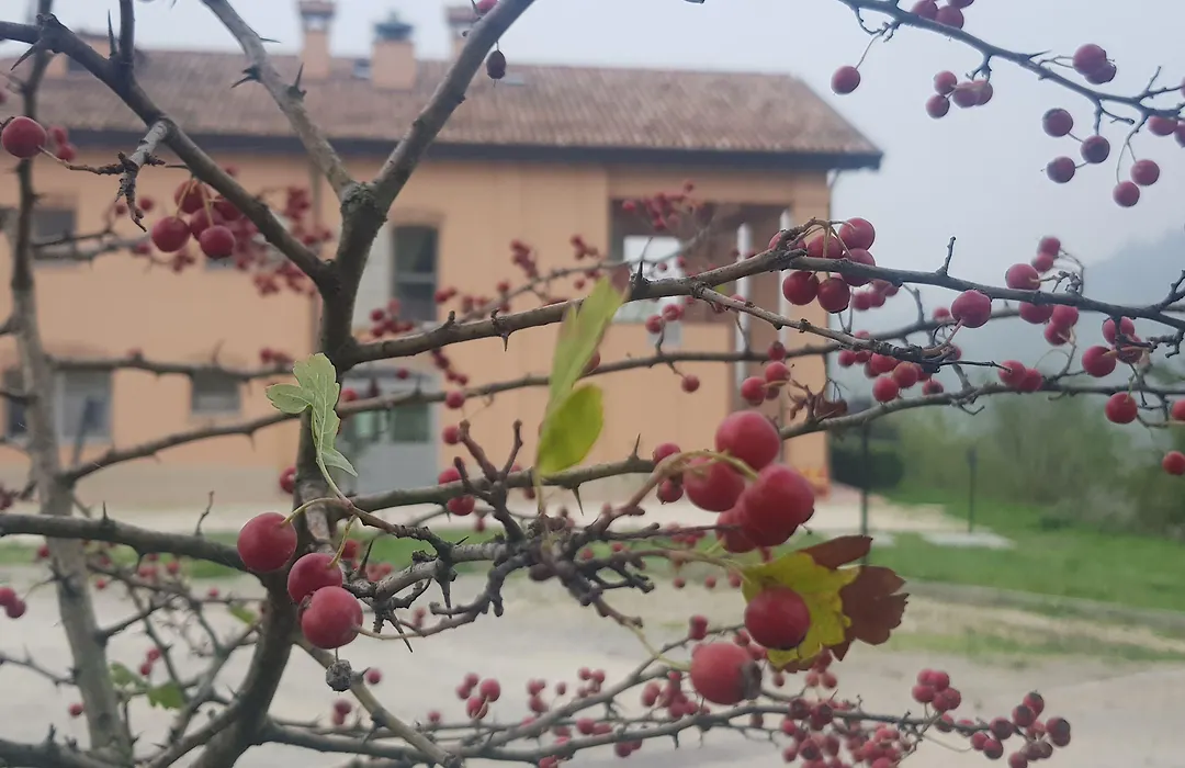 Agriturismo Ben Ti Voglio-1