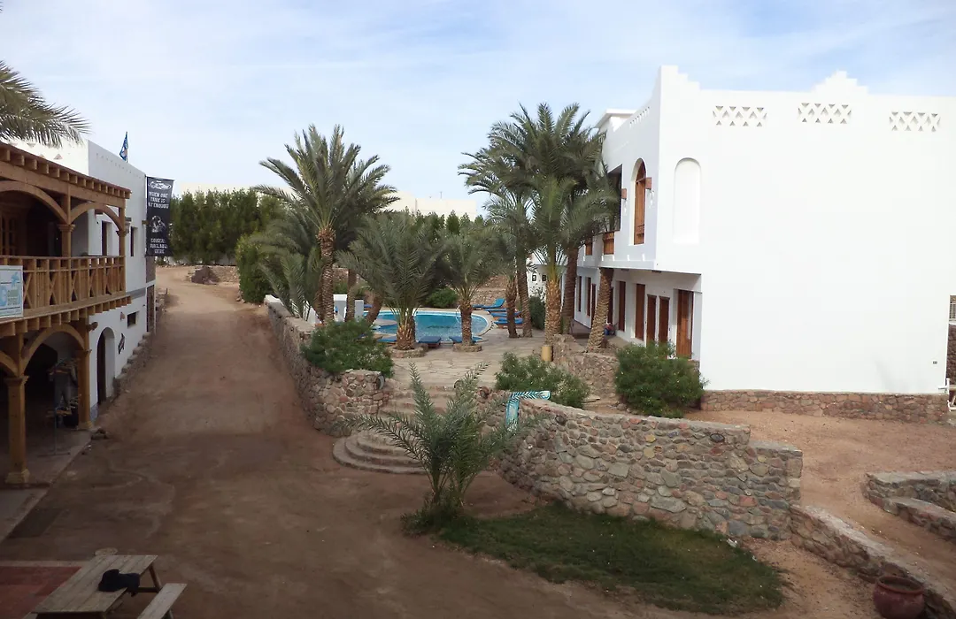 Dahab Divers-1
