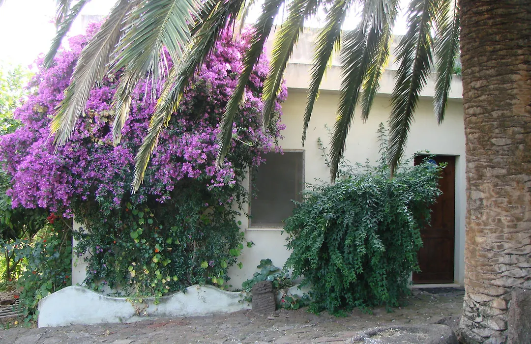 Agriturismo Su Tiresi-1