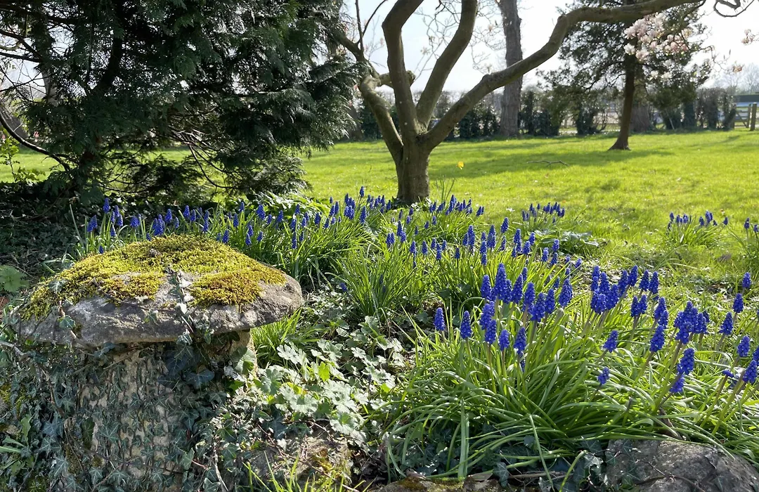Hill Farm-1