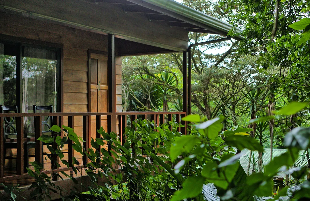 Jaguarundi Jungle Lodge - Monteverde-1