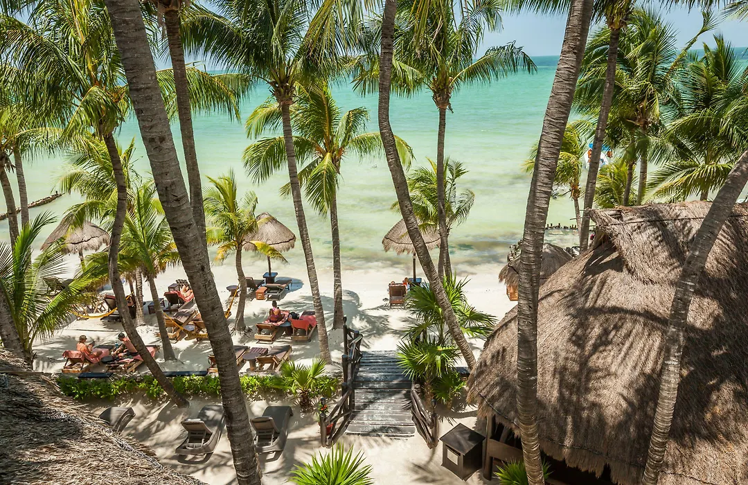 Beachfront Hotel La Palapa - Adults Only-1