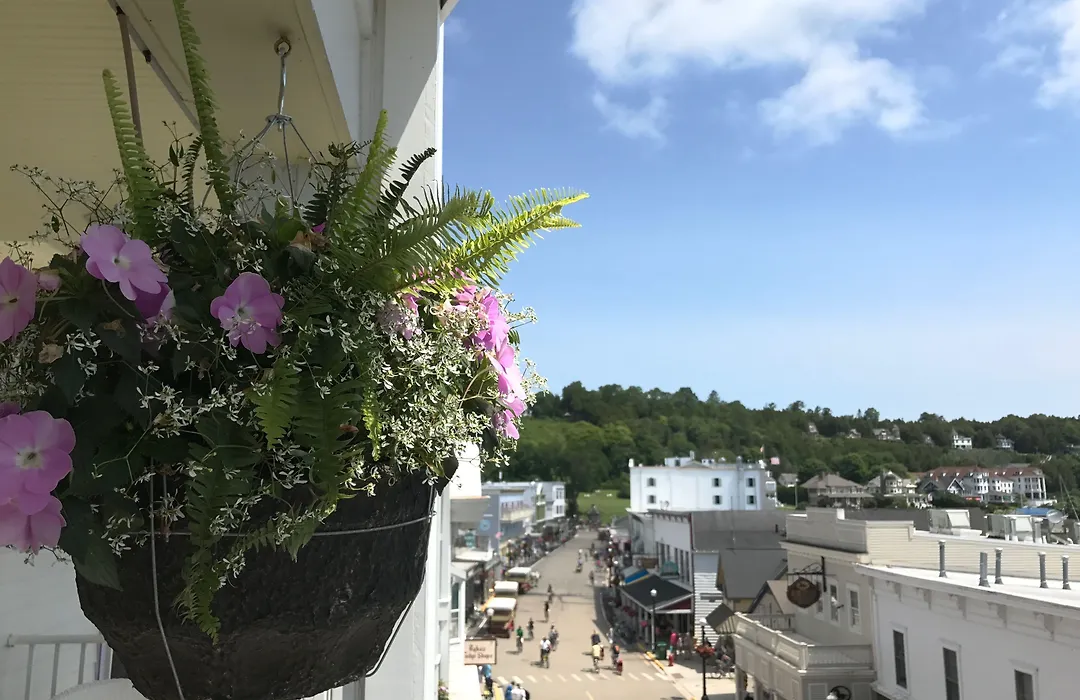 Lilac Tree Suites-1