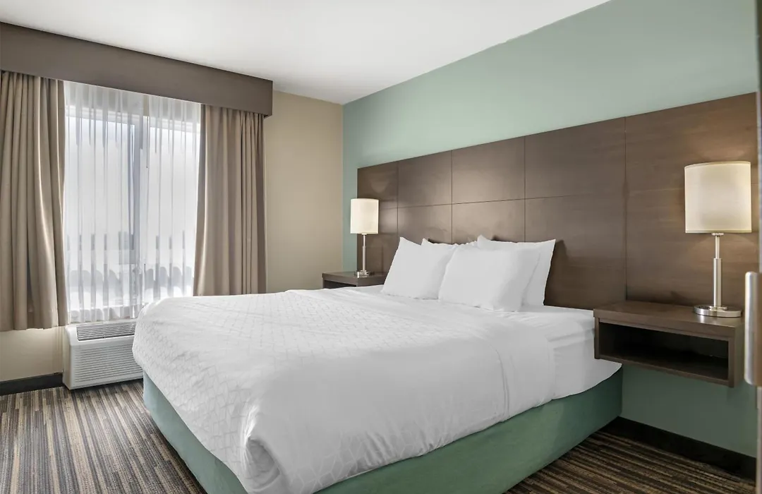 Best Western Plus Dartmouth Hotel&Suites-1