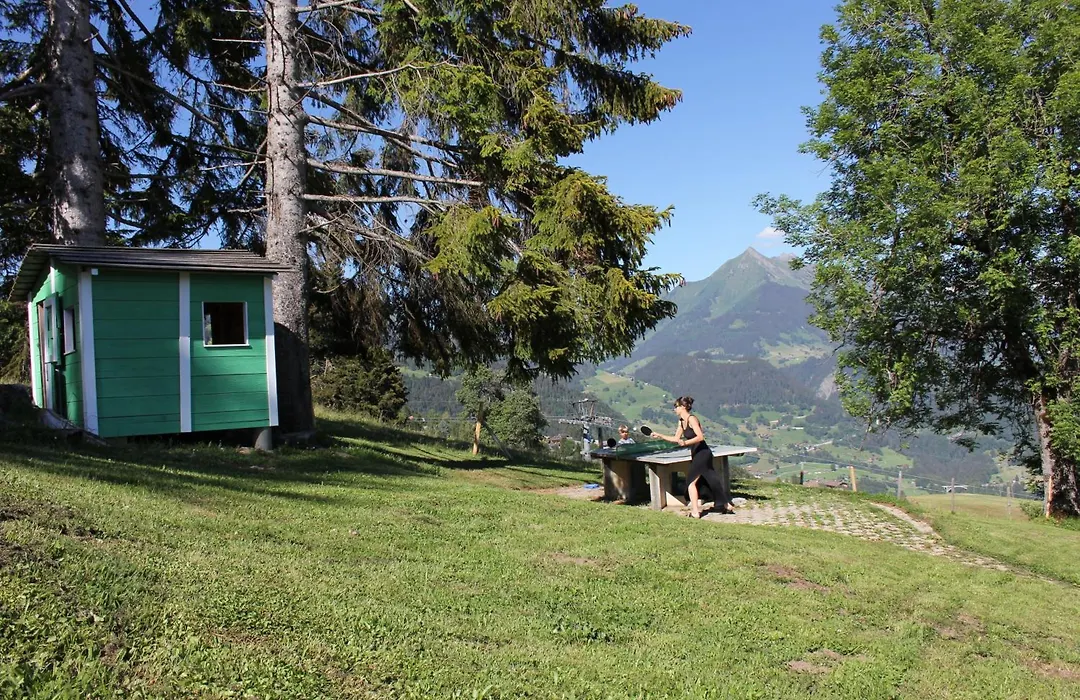 Leysin Lodge-1