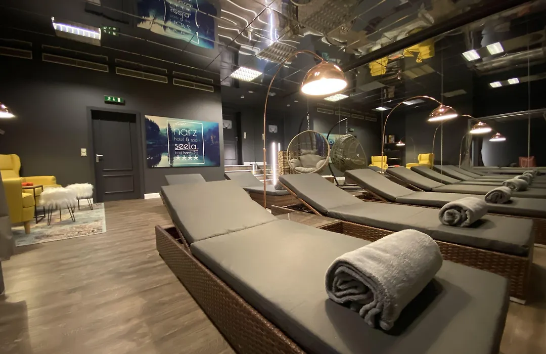 Harz Hotel&Spa Seela-1