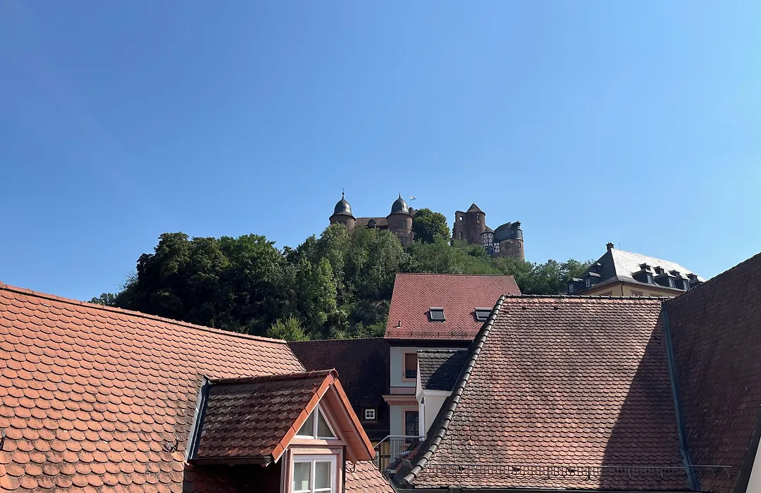 La Flamme Wertheim Garni-1