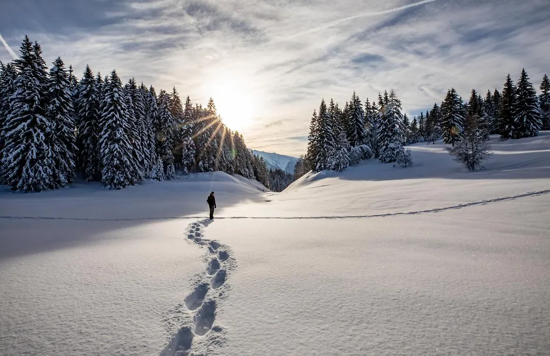 Heimat Apartments - Zillertal-1