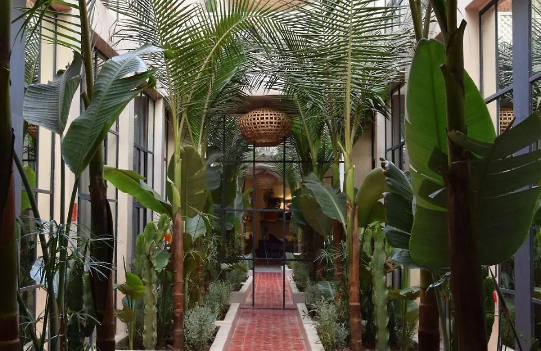 Miostello Lifestyle Riad-1