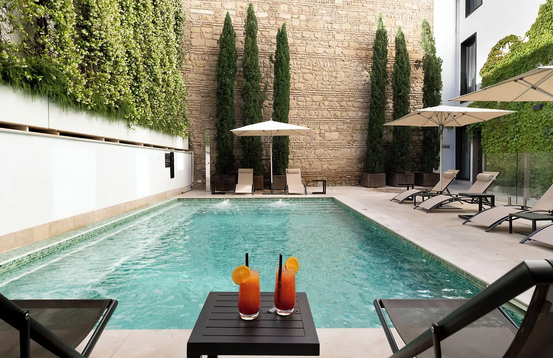 H10 Palacio Colomera-1