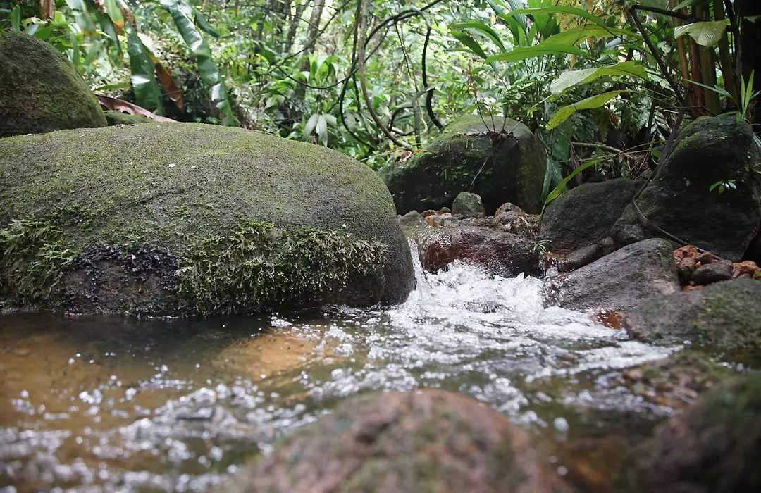 Pousada Do Riacho Trindade-1