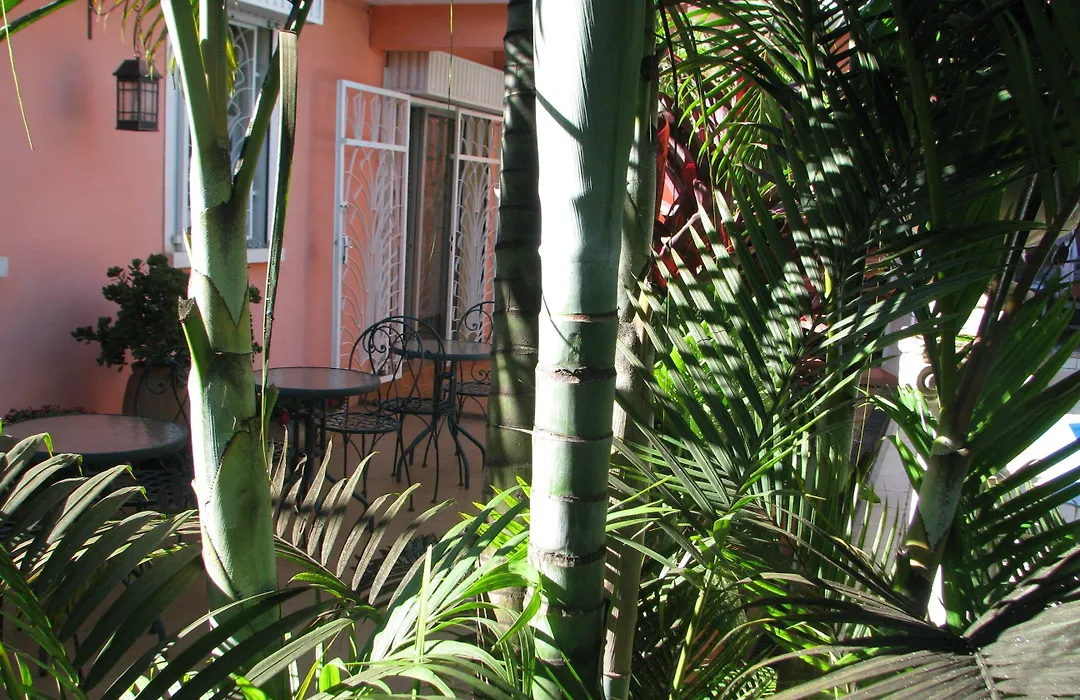 Avamada Lodge-1