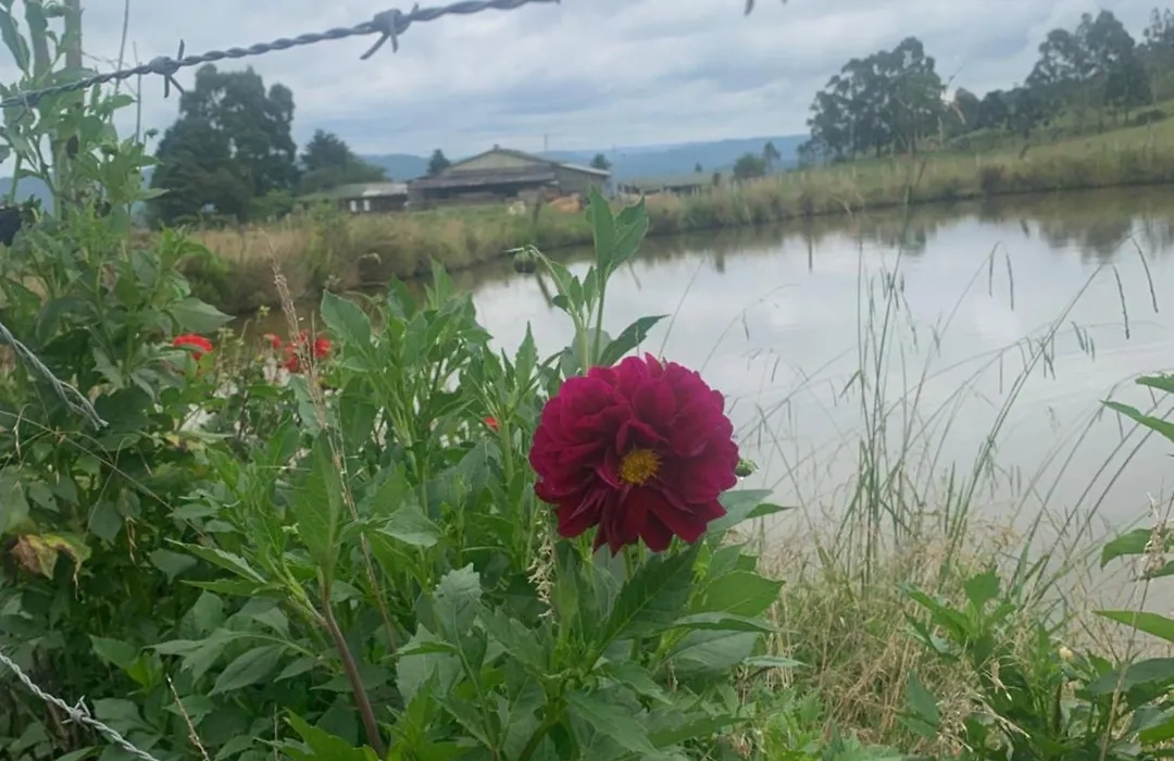 Pousada Fazenda Paim-1