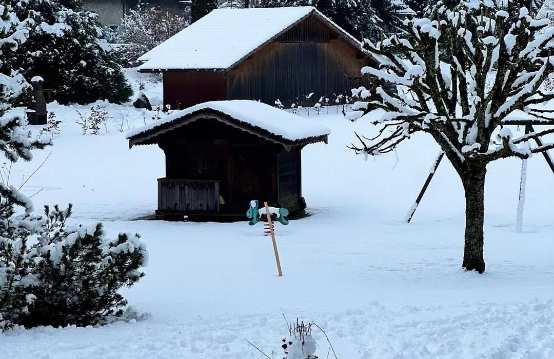 Residence Hoteliere La Renardiere-1