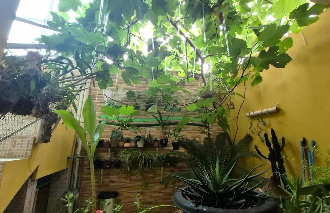 Pousada Casa Verde-1
