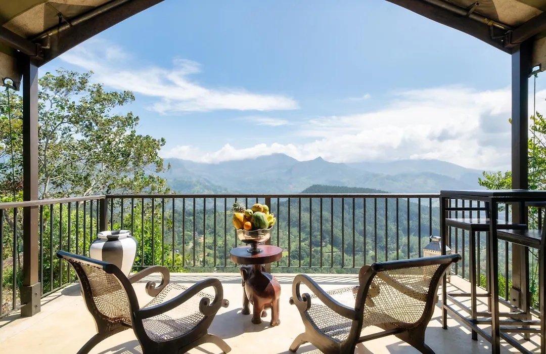 Madulkelle Tea And Eco Lodge-1