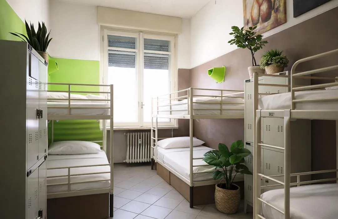 Koala Hostel-1