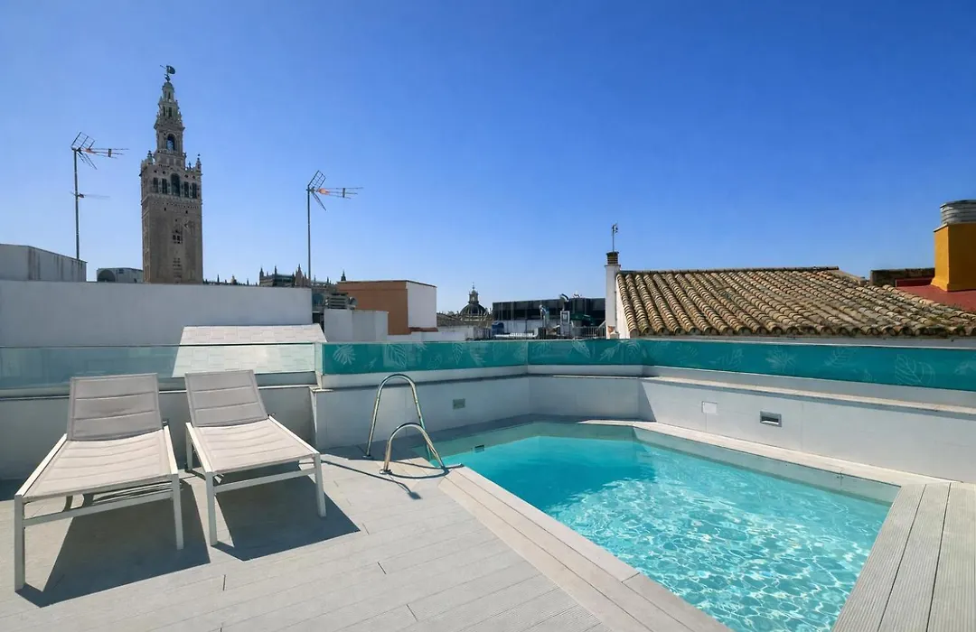 Numa Seville Molina-1