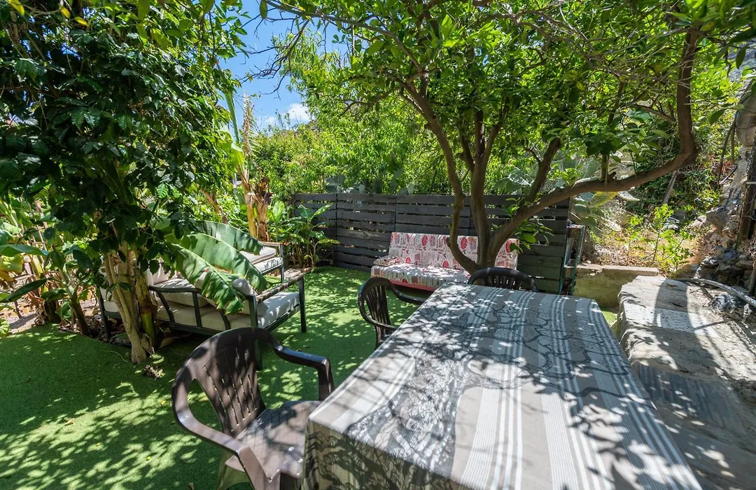 Finca OASIS Fataga-1