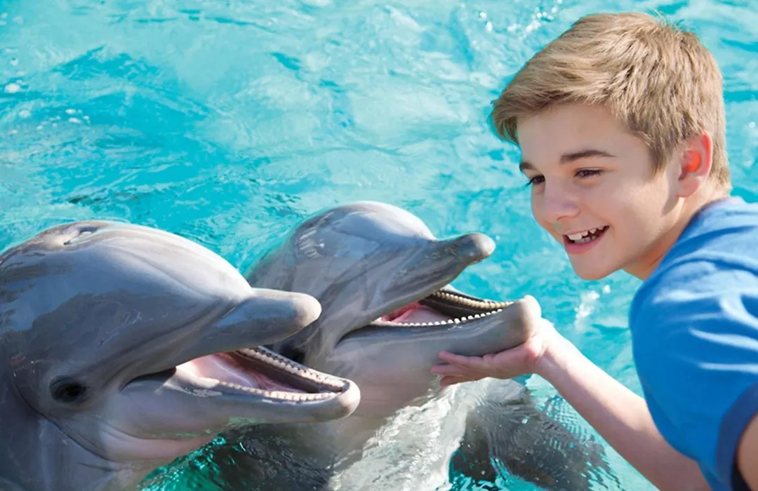 Holiday Inn Express San Diego - Sea World Area By Ihg-1