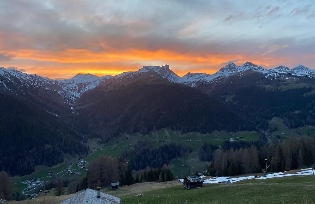 Shima-Davos-1