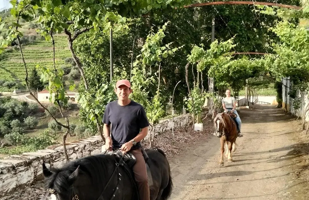 Quinta do Valdalágea-1