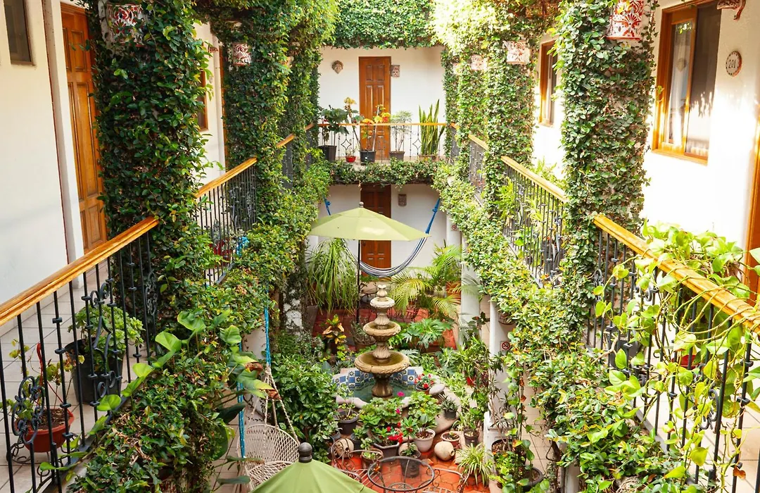 Hotel Dainzu-1