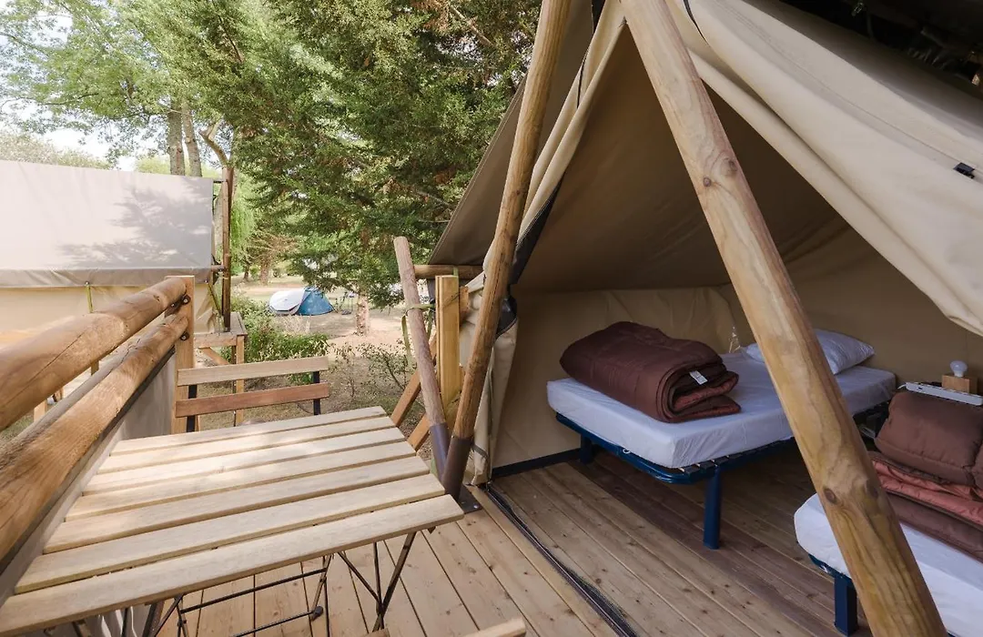 Camping Haliotis-1