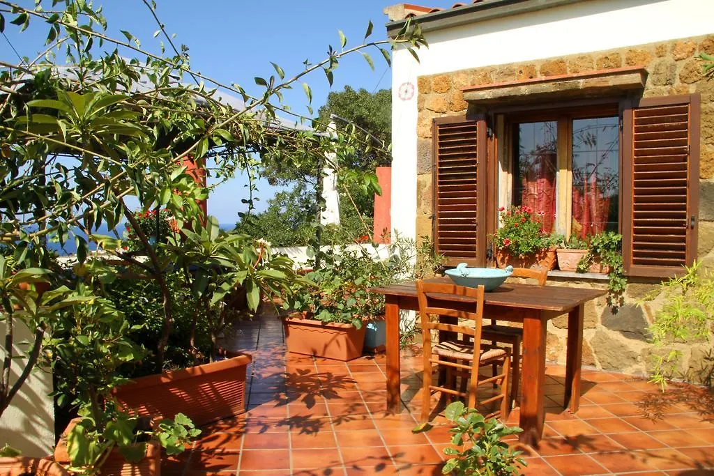 Casa Terranova-1