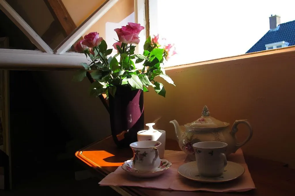 Wild Roses-1