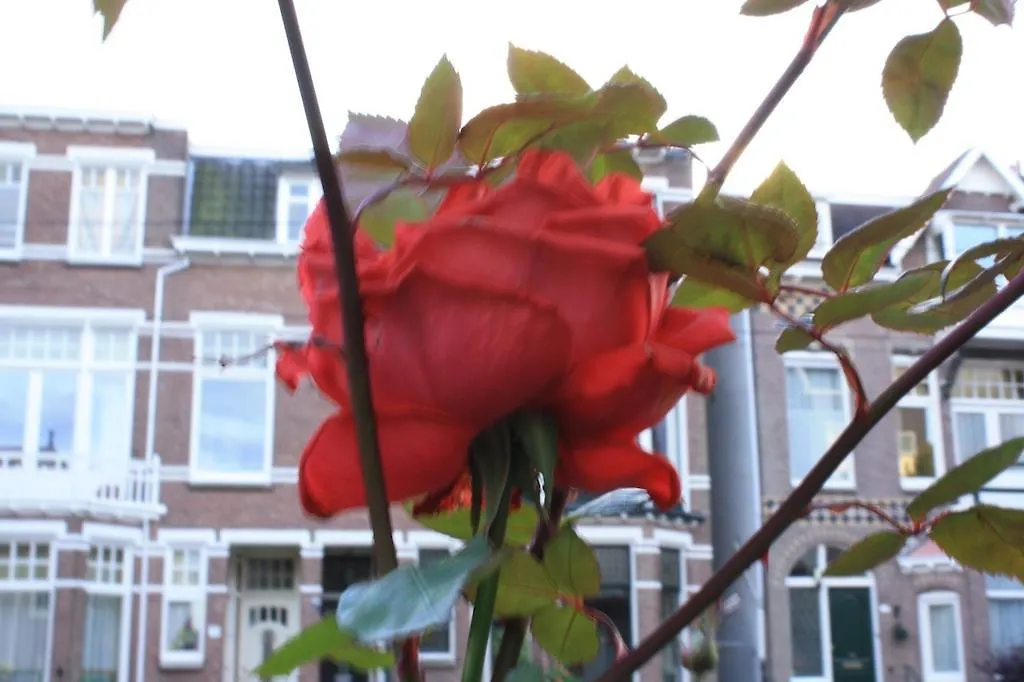 Arnhem Studios-1