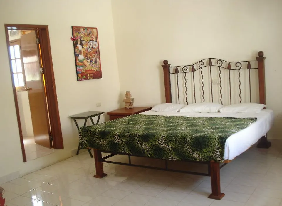 Beachouse Dive Hostel Cozumel-1