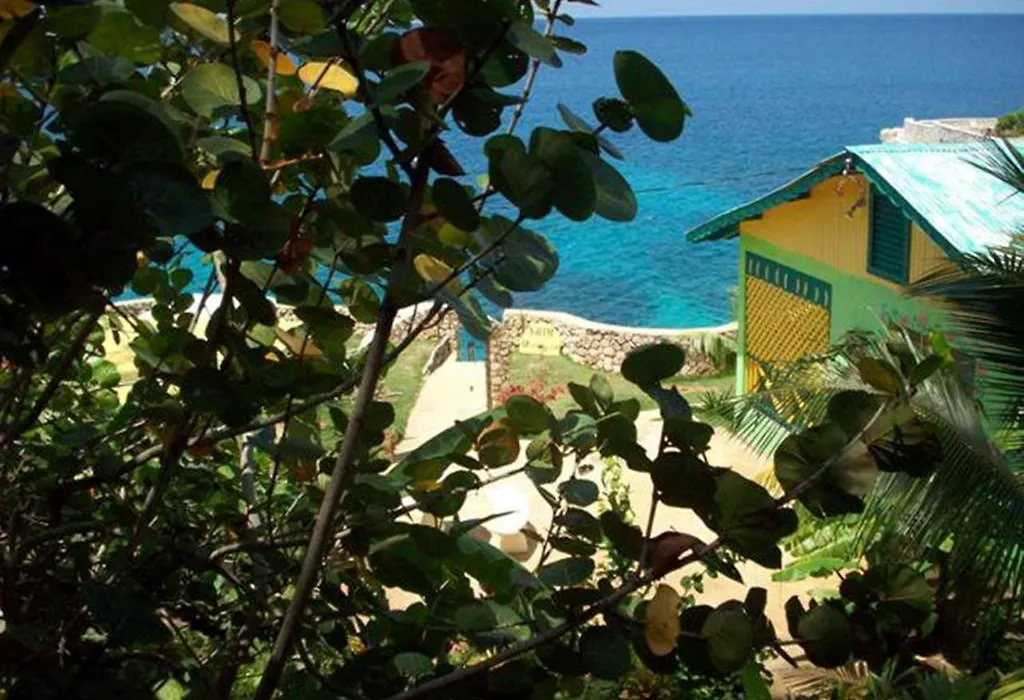 Banana Shout Resort-1