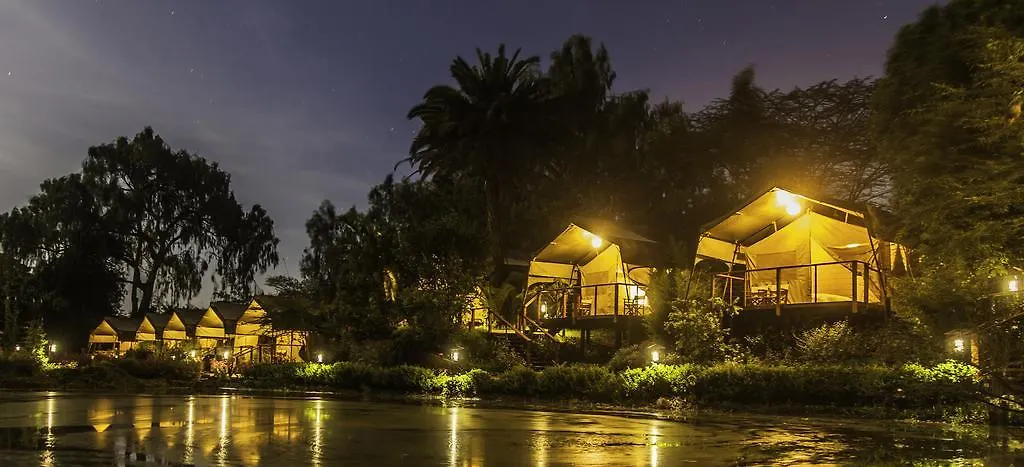 Wildebeest Eco Camp-1