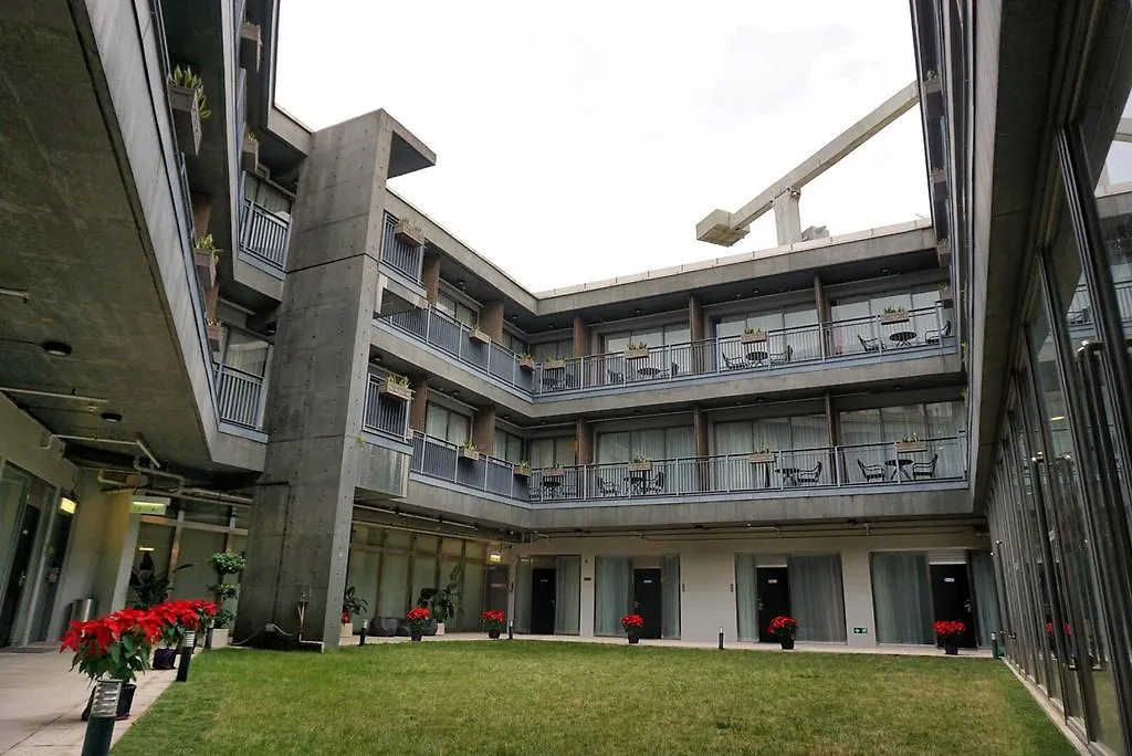 Y Loft-1