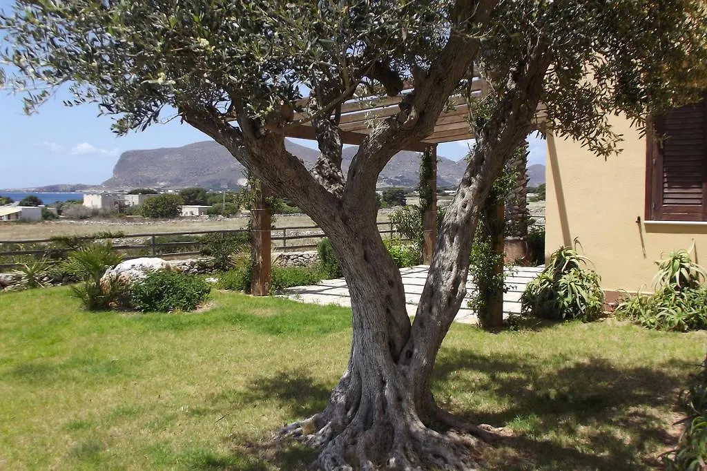 Il Giardino delle Aloe-1
