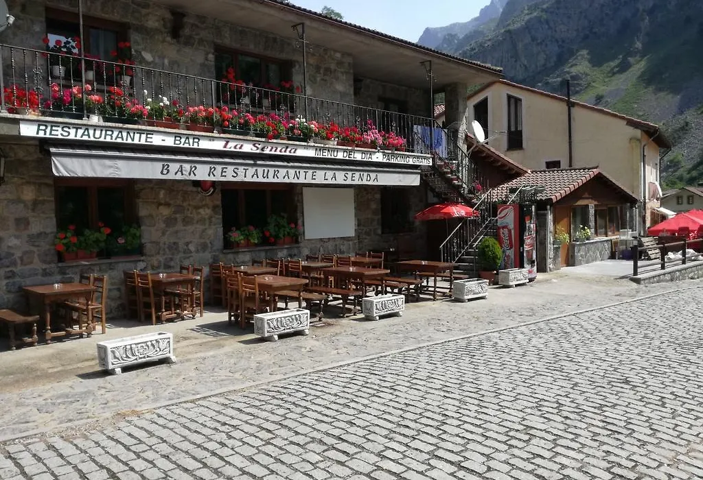 Hostal Casa Tino-1