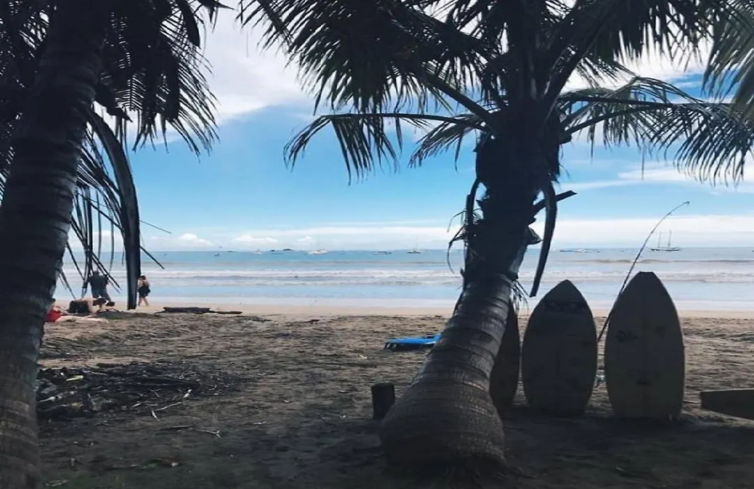 Coral Reef Surf Hostel And Camp-1