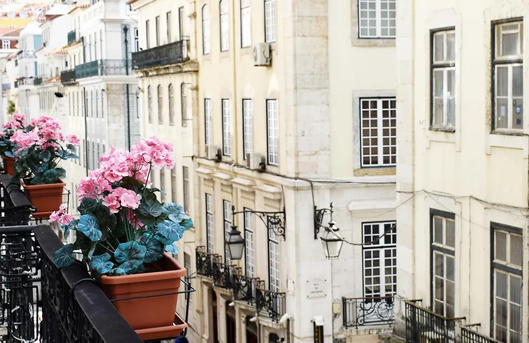 Dream Chiado Apartments-1