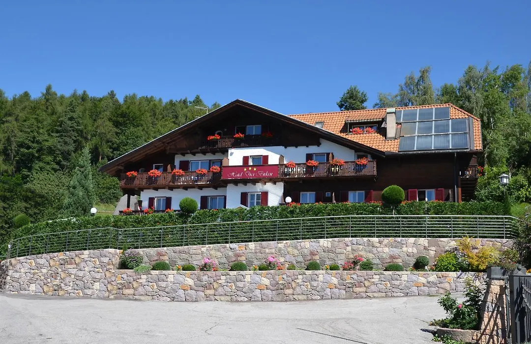 Drei Birken-1