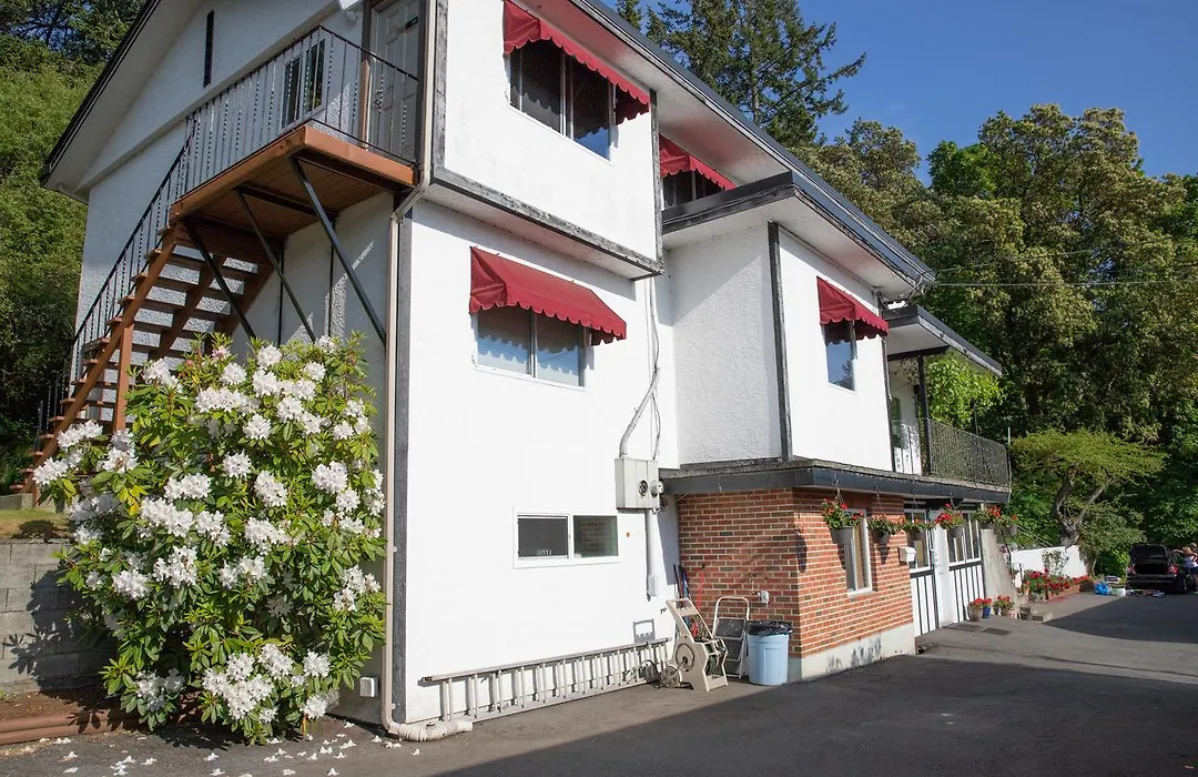 Cherry Tree Inn-1