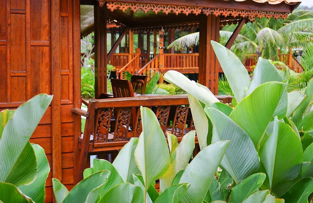 Thai House Resort-1