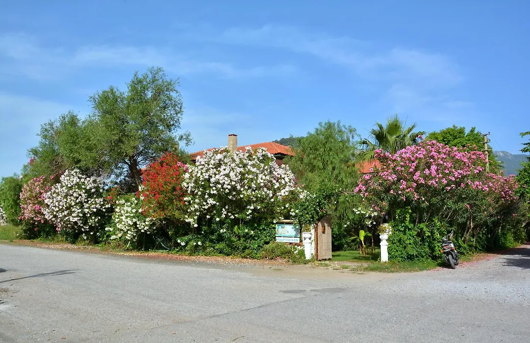 Villa Poseidon-1