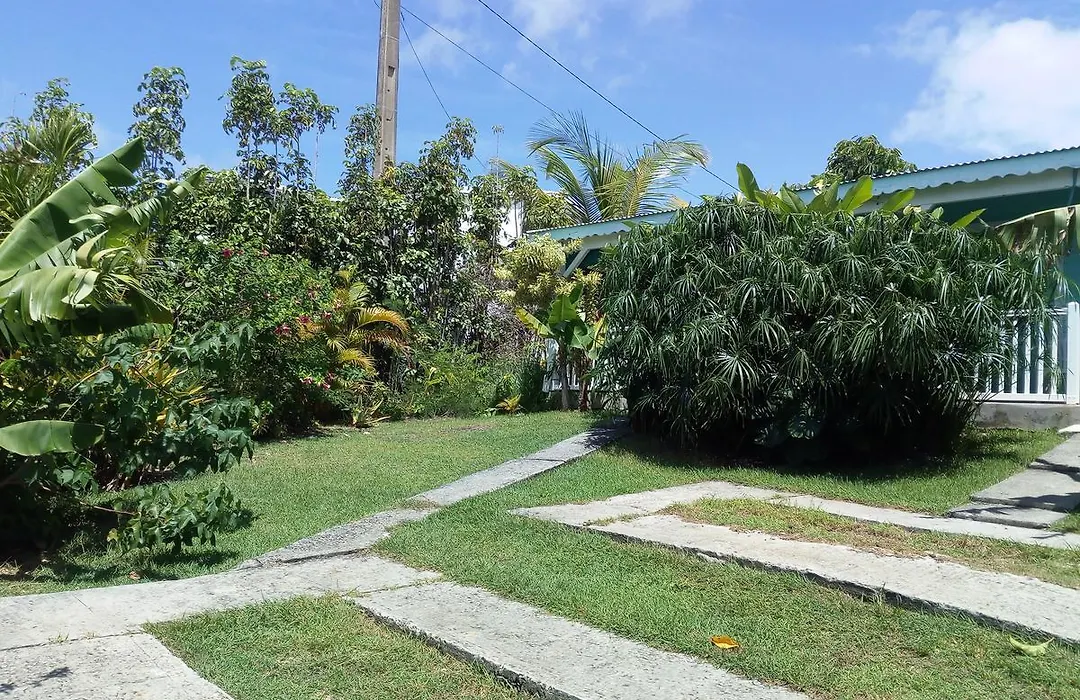 Bungalow Cocodile-1