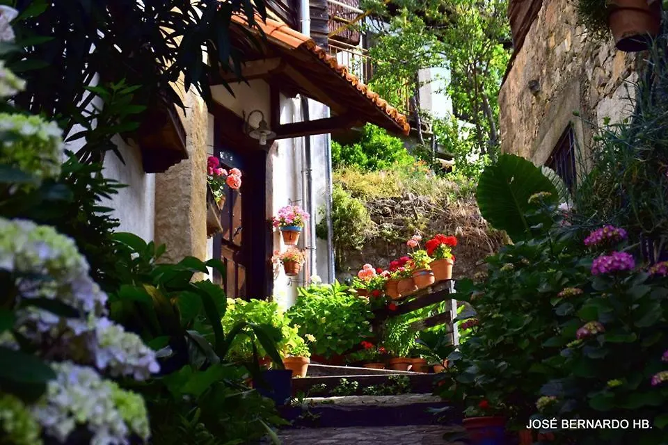 Casa Rural Amparo-1