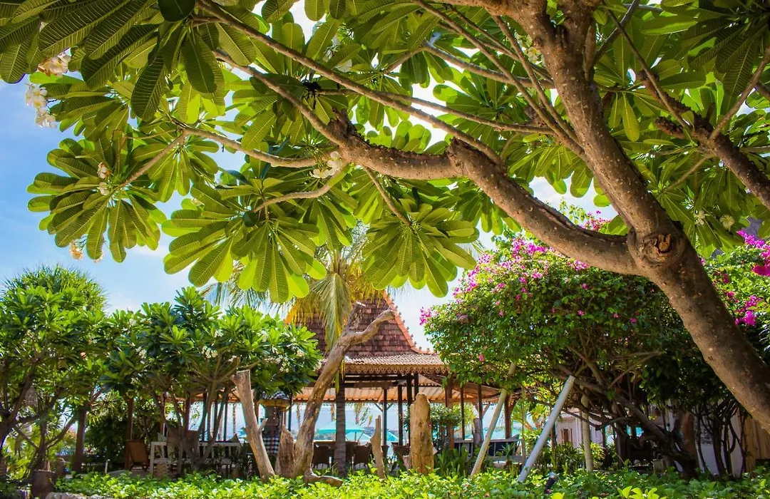 Sunrise Resort-1