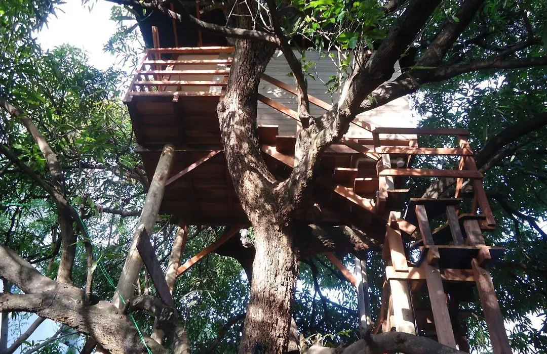 Casa na Árvore-1
