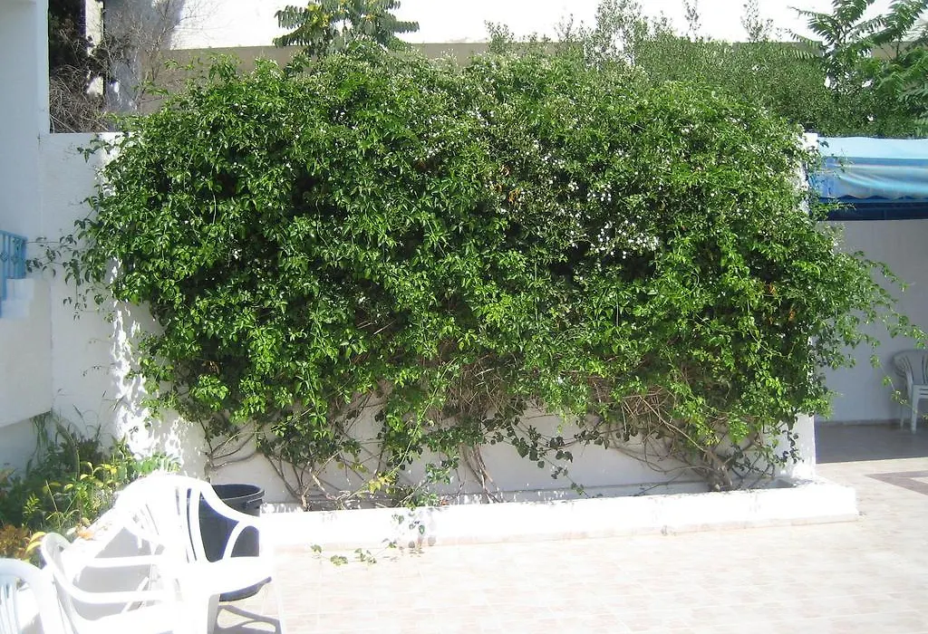Hotel Les Citronniers-1