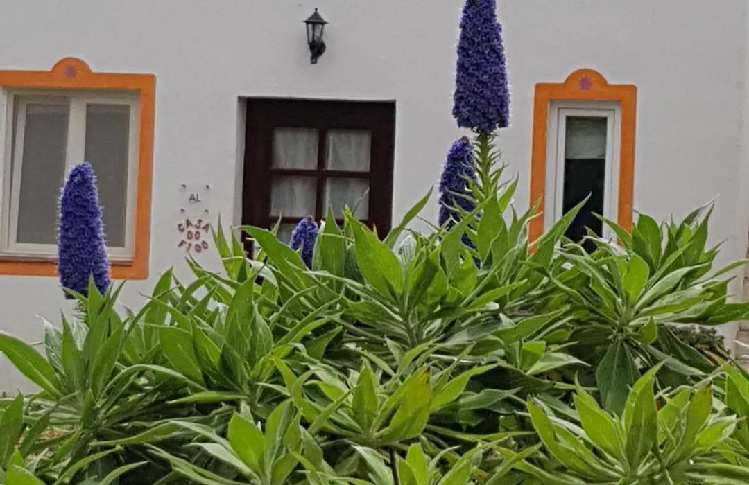 Quinta Dos Cochichos - Country Houses-1
